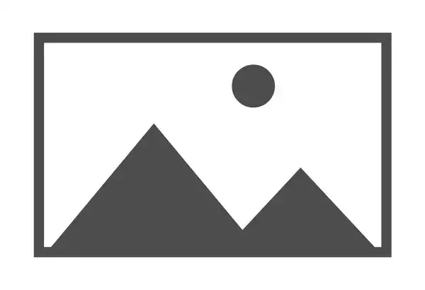 DEMO: AVator's Automotive Solution 6 team photo